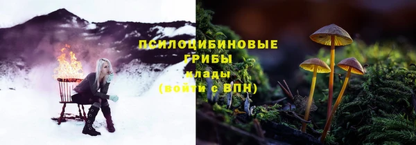 шишки Переславль-Залесский