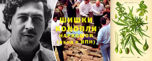 амф Пересвет